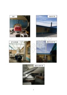 保定市潤霖果脯廠果脯加工項目竣工環(huán)境保護驗收監(jiān)測報告——專業(yè)環(huán)保咨詢服務(wù)解讀